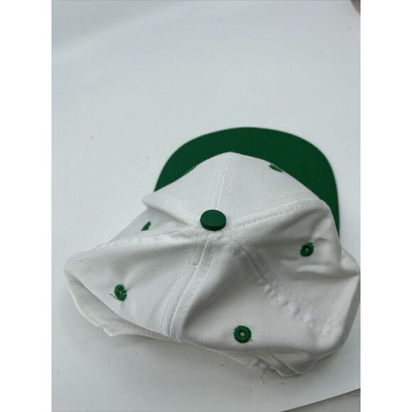 Looney Tunes Snapback Hat Tazmanian Devil “Pot of Gold” 97 Shamrock St Pats Day - Picture 3 of 5